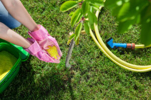 tree care red deer